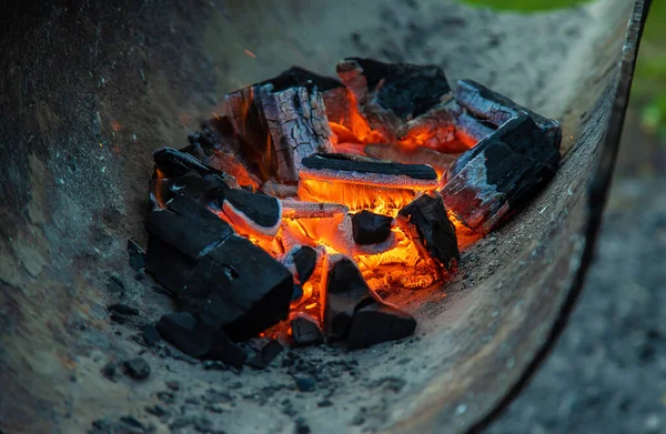 Coals Burning Grill Selective Focus Fire — Stock Photo, Image