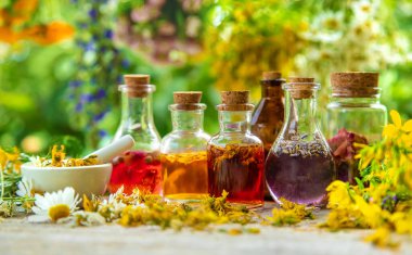 Şişedeki şifalı bitkilerin tentürü. Seçici odaklanma. Doğa.