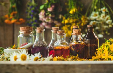 Şişedeki şifalı bitkilerin tentürü. Seçici odaklanma. Doğa.