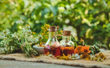 Şişedeki şifalı bitkilerin tentürü. Seçici odaklanma. Doğa.