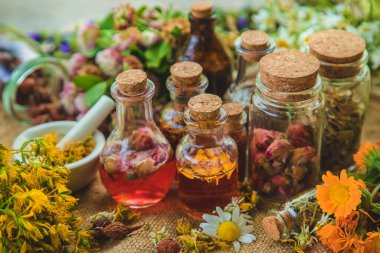 Şişedeki şifalı bitkilerin tentürü. Seçici odaklanma. Doğa.