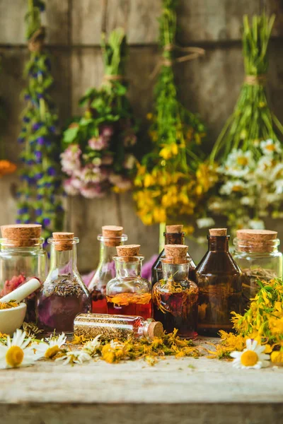 Tintura Ervas Medicinais Garrafas Foco Seletivo Natureza — Fotografia de Stock