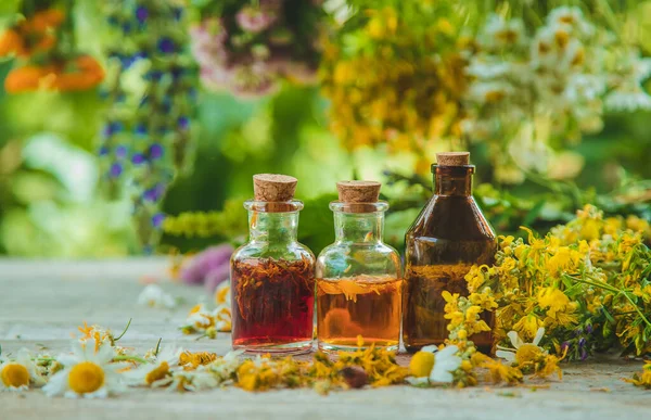 Tintura Ervas Medicinais Garrafas Foco Seletivo Natureza — Fotografia de Stock