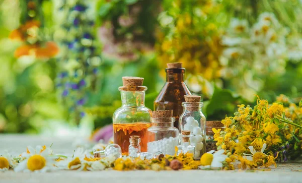 Tintura Ervas Medicinais Garrafas Foco Seletivo Natureza — Fotografia de Stock