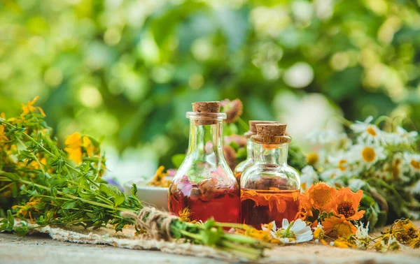 Tintura Ervas Medicinais Garrafas Foco Seletivo Natureza — Fotografia de Stock