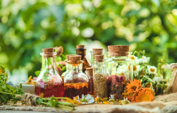 Tinktur Von Heilkräutern Flaschen Selektiver Fokus Natur — Stockfoto