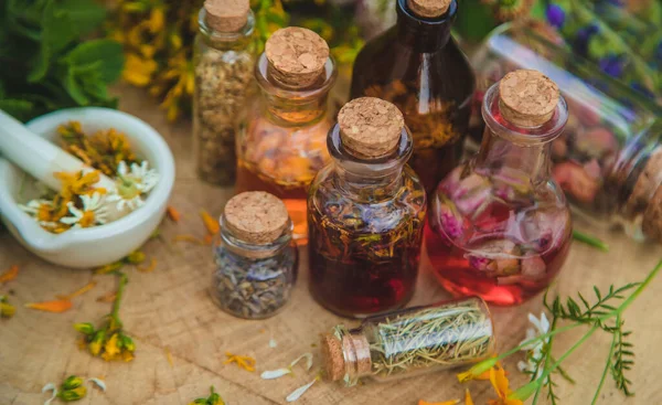 Tincture Medicinal Herbs Bottles Selective Focus Nature — Stock Photo, Image