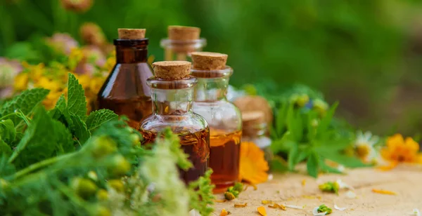 Tincture Medicinal Herbs Bottles Selective Focus Nature — Stock Photo, Image