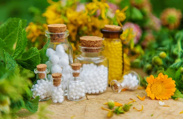 Tintura Ervas Medicinais Garrafas Foco Seletivo Natureza — Fotografia de Stock