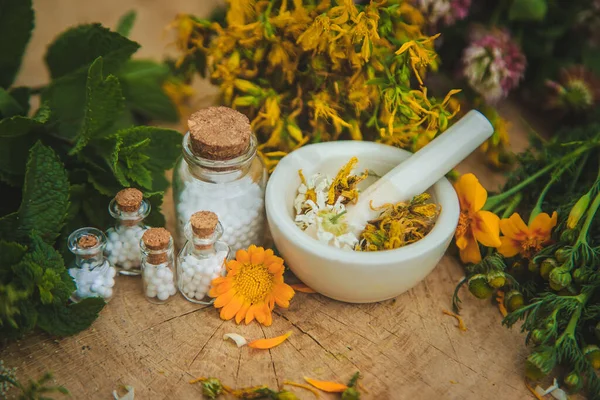 Tinctuur Van Geneeskrachtige Kruiden Flessen Selectieve Focus Natuur — Stockfoto