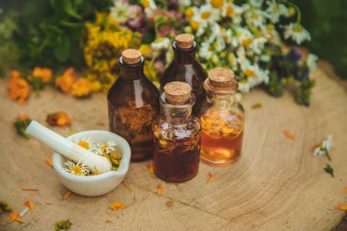 Şişedeki şifalı bitkilerin tentürü. Seçici odaklanma. Doğa.