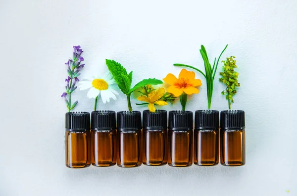 Essential oils and herbal extracts in small bottles. Selective focus. nature.