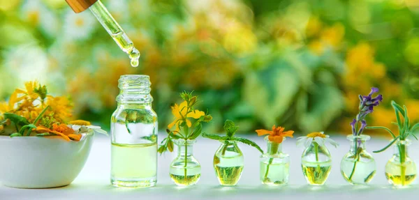 Ätherische Öle Und Kräuterextrakte Kleinen Flaschen Selektiver Fokus Natur — Stockfoto