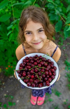 Çocuk bahçede kiraz yiyor. Seçici odaklanma. yiyecek.
