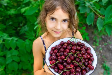 Çocuk bahçede kiraz yiyor. Seçici odaklanma. yiyecek.