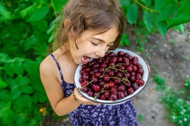 Çocuk bahçede kiraz yiyor. Seçici odaklanma. yiyecek.