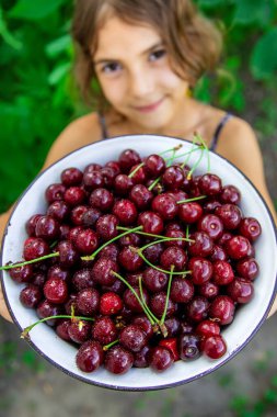 Çocuk bahçede kiraz yiyor. Seçici odaklanma. yiyecek.