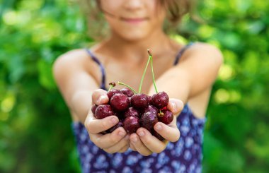 Çocuk bahçede kiraz yiyor. Seçici odaklanma. yiyecek.