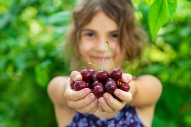 Çocuk bahçede kiraz yiyor. Seçici odaklanma. yiyecek.
