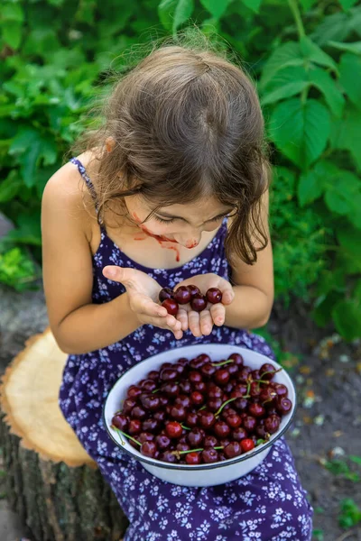 那孩子在花园里吃樱桃 有选择的重点 — 图库照片