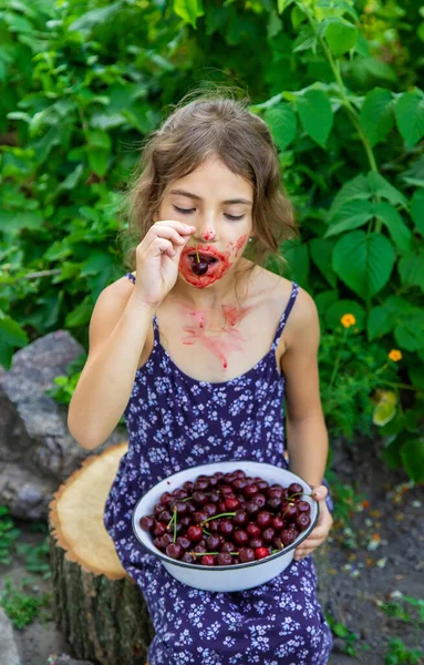 那孩子在花园里吃樱桃 有选择的重点 — 图库照片