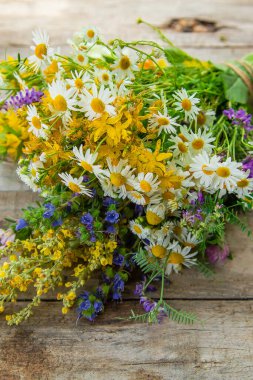 Masada şifalı bitkiler var. Seçici odaklanma. Doğa.
