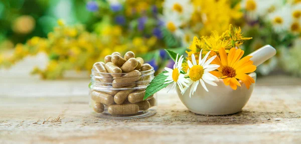 Nahrungsergänzungsmittel Und Vitamine Mit Heilkräutern Selektiver Fokus Natur — Stockfoto