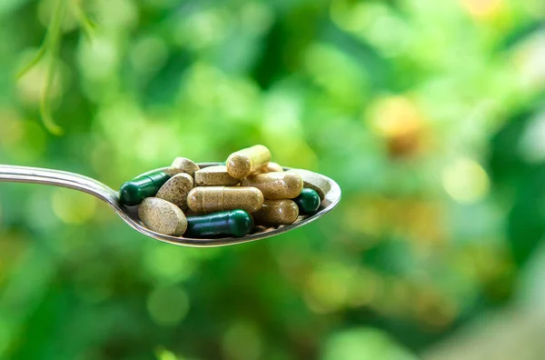 Supplements Vitamins Medicinal Herbs Selective Focus Nature — Stock Photo, Image