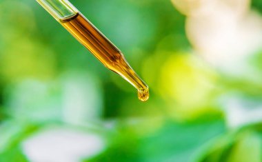 Küçük bir şişede gerekli olan şifalı bitkiler var. Seçici odaklanma. Doğa.