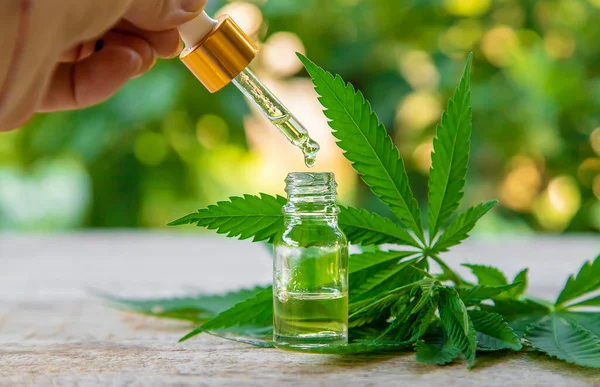 Huile Essentielle Extrait Cannabis Dans Une Petite Bouteille Concentration Sélective — Photo