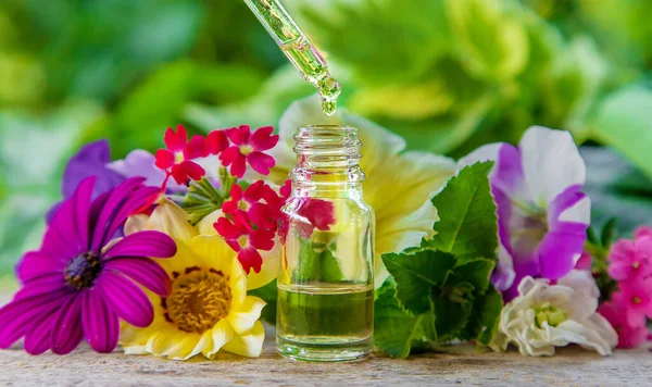 Tintura Extrato Ervas Uma Gota Pipeta Foco Seletivo Natureza — Fotografia de Stock