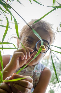 Çocuk bir büyüteçten salyangoza bakıyor. Seçici odaklanma. Doğa.