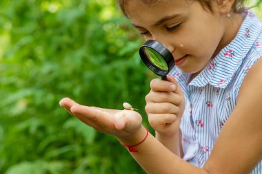 Çocuk bir büyüteçten salyangoza bakıyor. Seçici odaklanma. Doğa.