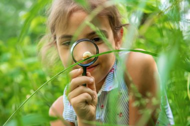 Çocuk bir büyüteçten salyangoza bakıyor. Seçici odaklanma. Doğa.