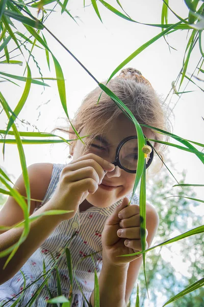 Bambino Guarda Lumaca Attraverso Una Lente Ingrandimento Concentrazione Selettiva Natura — Foto Stock