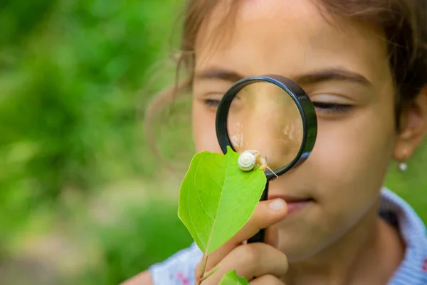 Criança Olha Para Caracol Através Uma Lupa Foco Seletivo Natureza — Fotografia de Stock