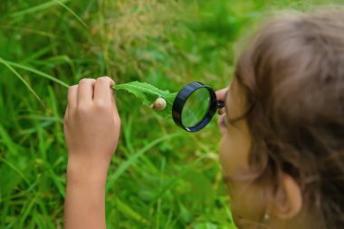 Çocuk bir büyüteçten salyangoza bakıyor. Seçici odaklanma. Doğa.