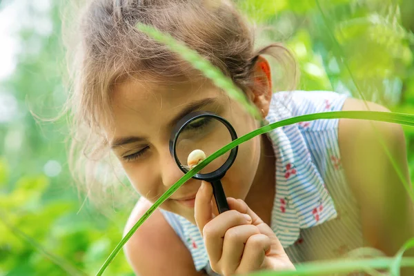 Bambino Guarda Lumaca Attraverso Una Lente Ingrandimento Concentrazione Selettiva Natura — Foto Stock