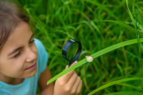 Child Looks Snail Magnifying Glass Selective Focus Nature — Stock Photo, Image