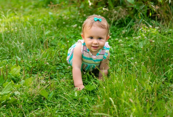 Bambino Seduto Sull Erba Concentrazione Selettiva Natura — Foto Stock