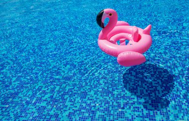 Havuzda flamingo çemberi. Seçici odaklanma. Su..