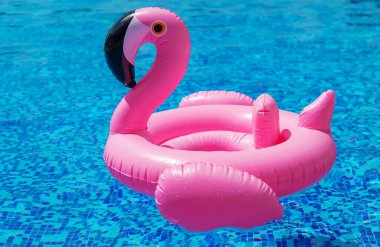 Havuzda flamingo çemberi. Seçici odaklanma. Su..