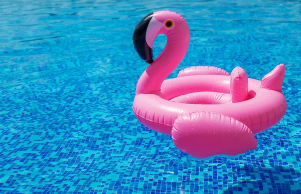 Cercle Flamants Roses Dans Piscine Concentration Sélective Eau — Photo