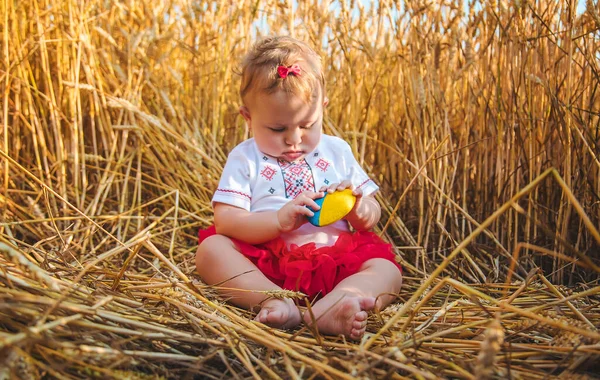 小麦畑の子供 ヴィシーヴァンカでは ウクライナ独立記念日の概念 選択的フォーカス キッド — ストック写真