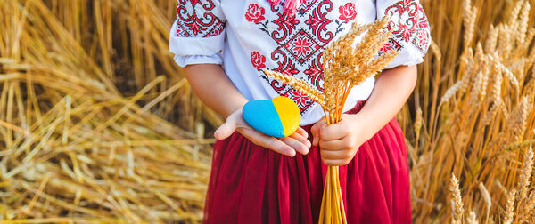 Child in a wheat field. In vyshyvanka, the concept of the Independence Day of Ukraine. Selective focus. Kid.