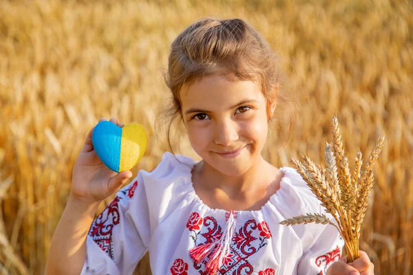 Buğday Tarlasında Bir Çocuk Vyshyvanka Ukrayna Nın Bağımsızlık Günü Kavramı — Stok fotoğraf