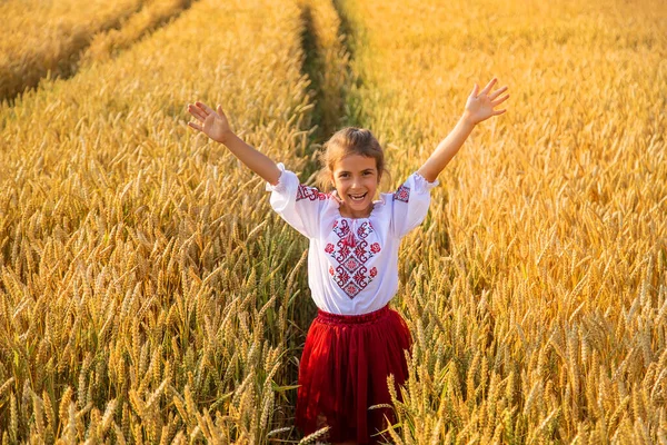 Buğday Tarlasında Bir Çocuk Vyshyvanka Ukrayna Nın Bağımsızlık Günü Kavramı — Stok fotoğraf