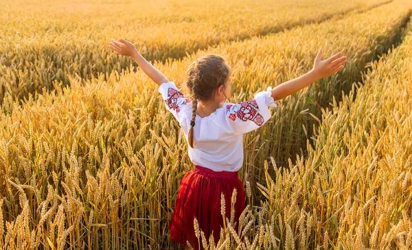 Niño Campo Trigo Vyshyvanka Concepto Del Día Independencia Ucrania Enfoque — Foto de Stock