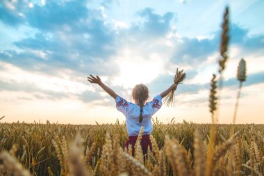 Buğday tarlasında bir çocuk. Vyshyvanka 'da, Ukrayna' nın Bağımsızlık Günü kavramı. Seçici odaklanma. Çocuk.