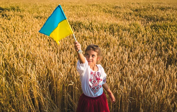 Enfant Dans Champ Blé Dans Vyshyvanka Concept Fête Indépendance Ukraine — Photo